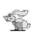 co.gif