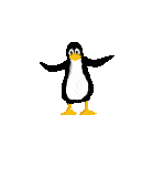 pin.gif