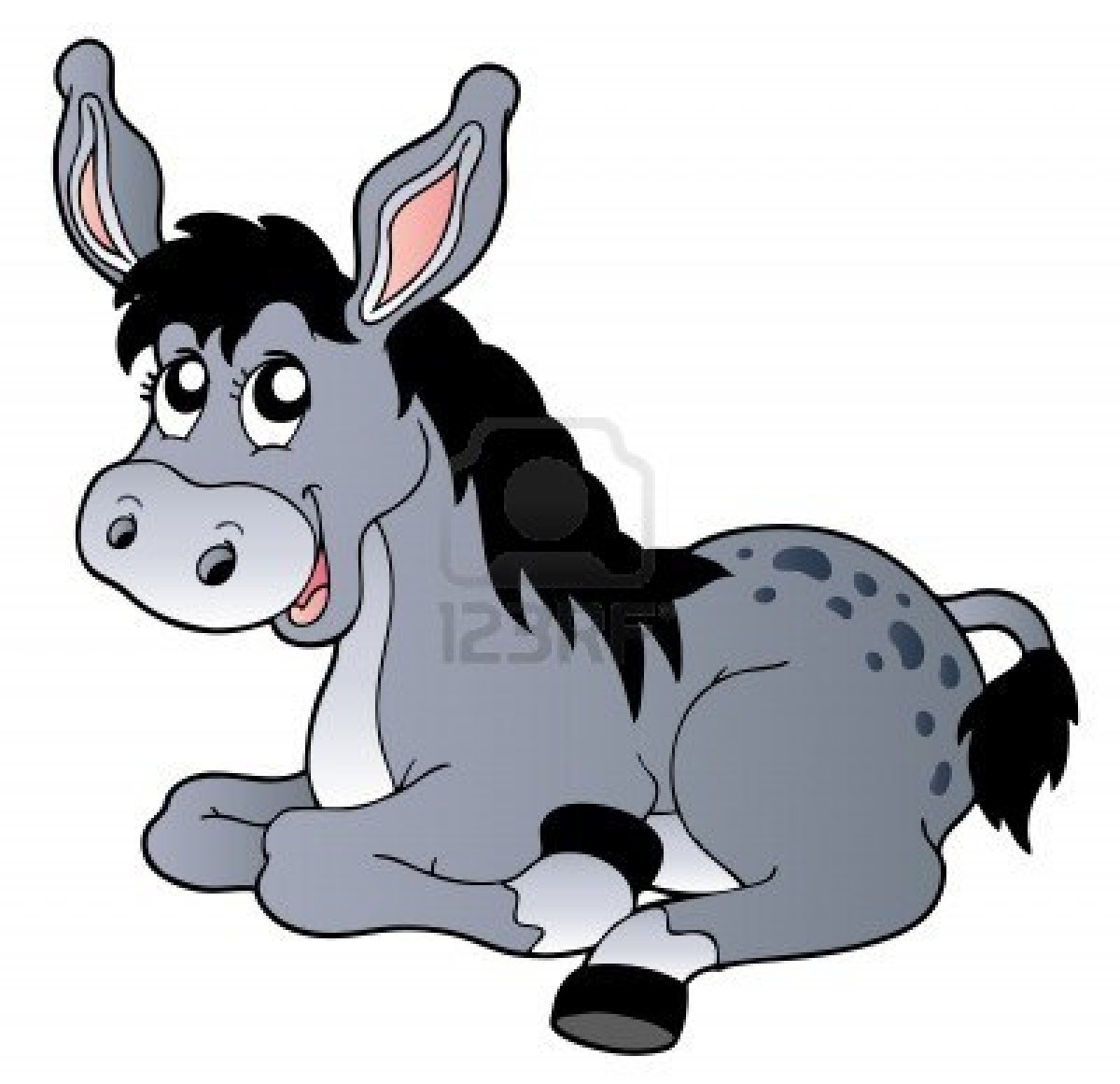 burro.jpg